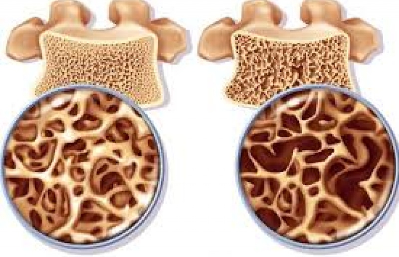 Tế bào gốc – Sự đóng góp cho Bệnh nhi