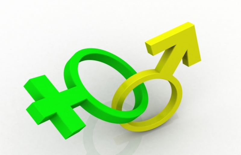Estrogen thúc đẩy chức năng tế bào gốc tạo máu