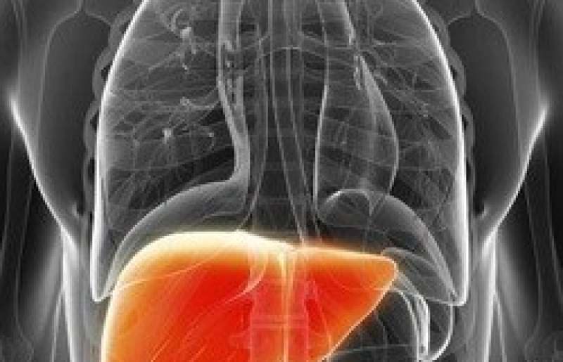 Tế bào gốc Amidan giúp điều trị bệnh Gan
