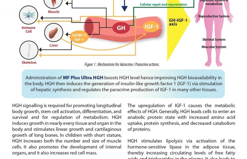 MF Plus Ultra HGH